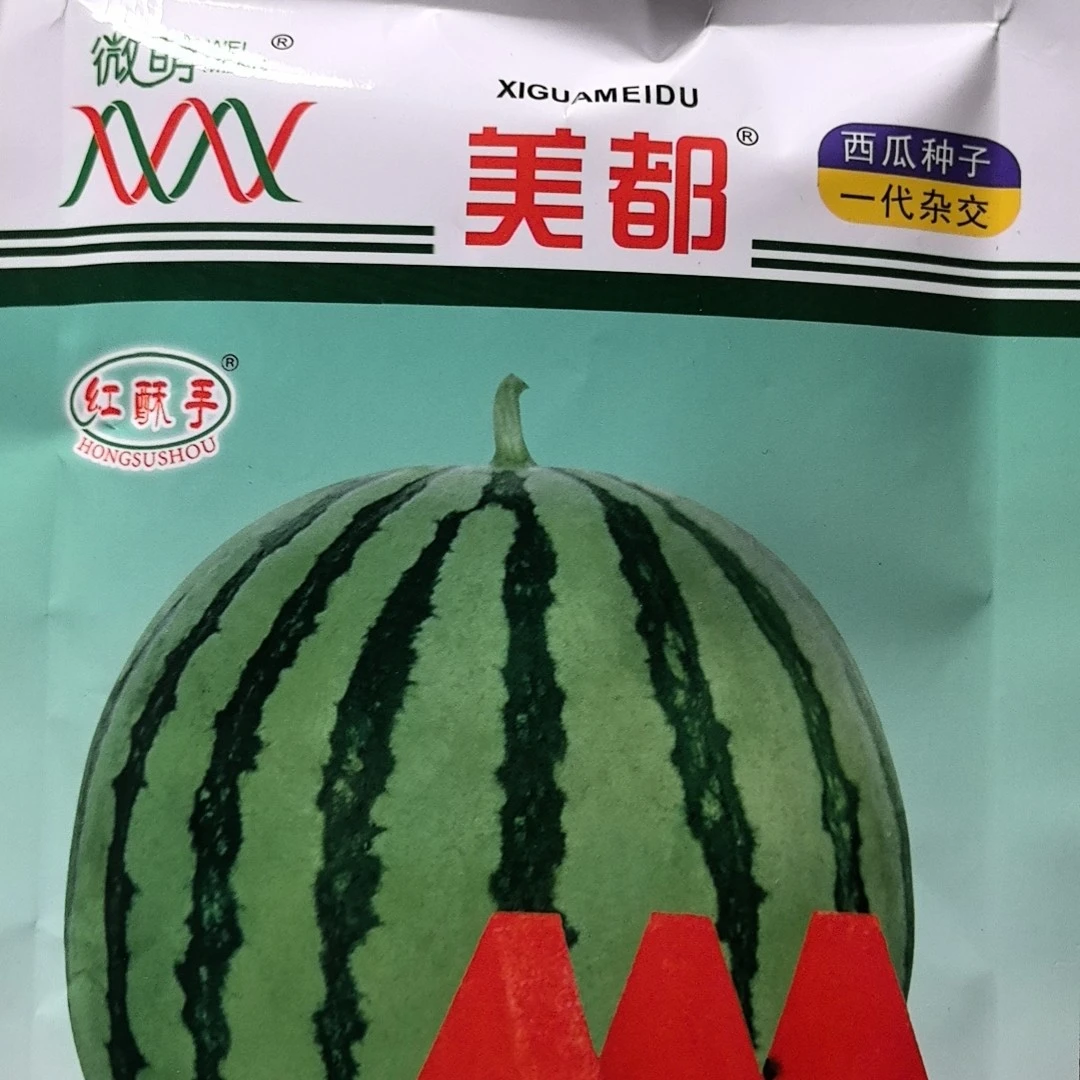 大果型微盟美都2000粒，