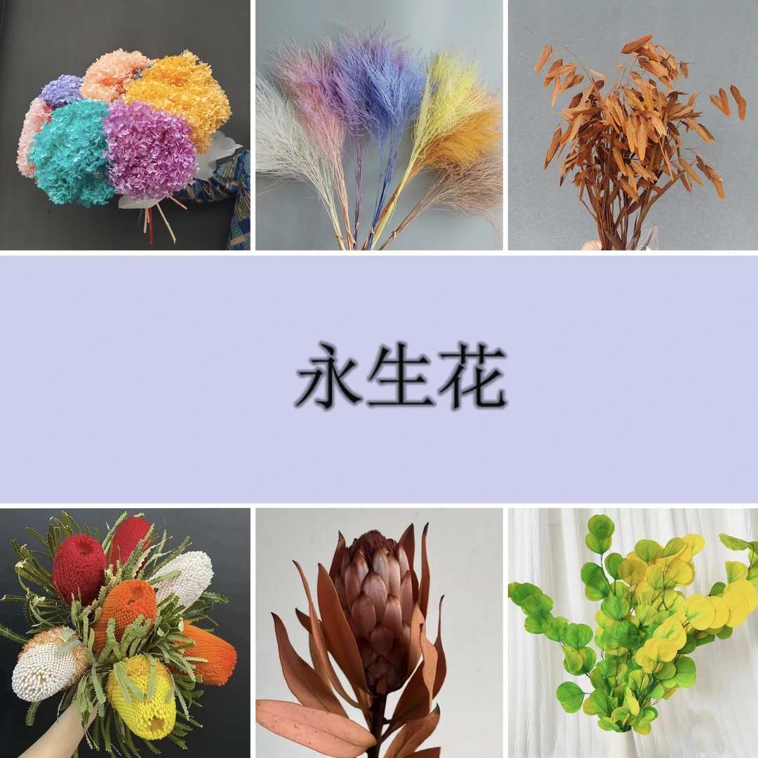 楠派永生花直播间专属定制链接一物一拍