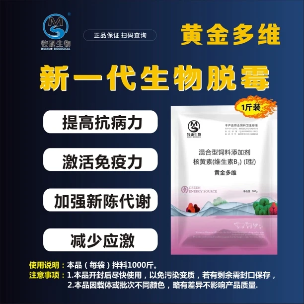 【黄金多维】补充微量元素抗应激小猪打架吃土喝尿嚼舌头