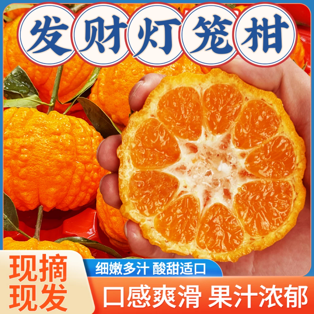 【爆甜多汁】眉山南瓜发财灯笼柑4斤礼盒3.9斤彩箱应季水果新鲜YX
