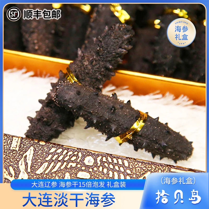 拾贝岛淡干海参 大连海参干深海辽刺参15倍泡发送礼营养品质优选