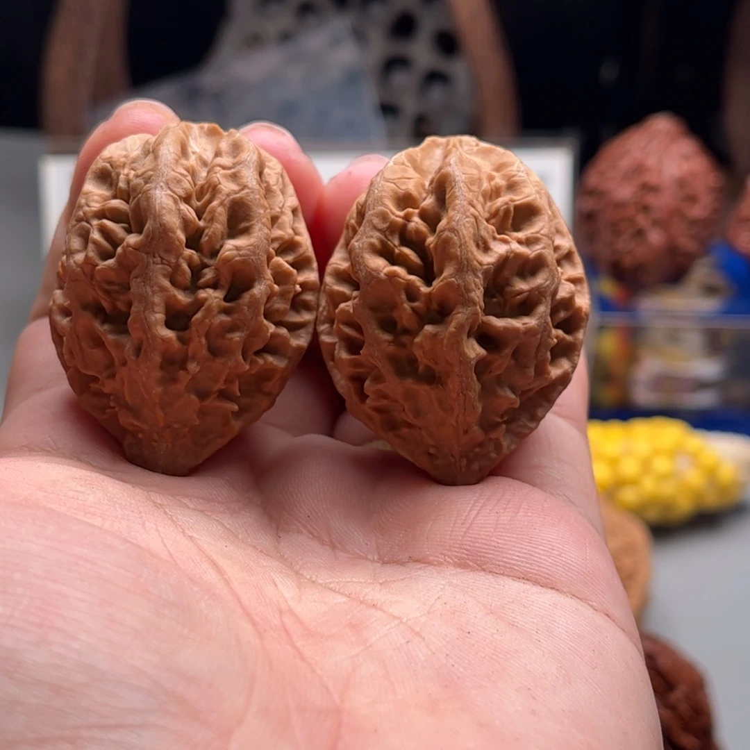 文玩核桃把件关东木子家楸大胖65