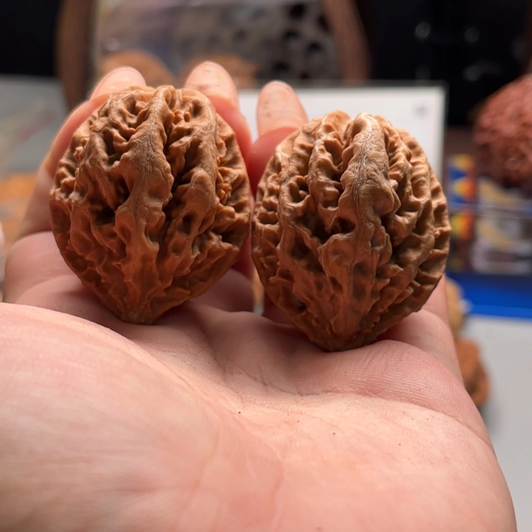 文玩核桃把件关东木子家楸大胖71