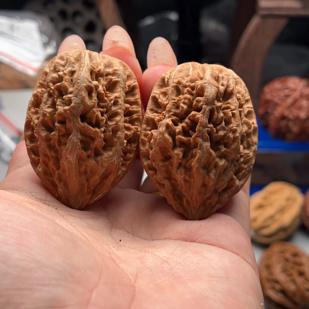 文玩核桃把件关东木子家楸大胖146