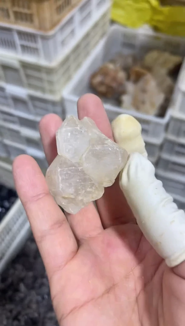 【闪购商品】水晶骸骨未镶嵌骸骨G1