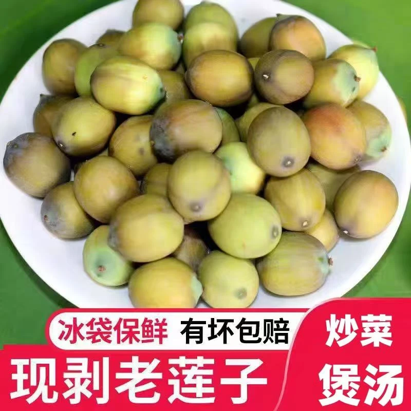 【十元一斤送半斤】麻壳煲汤老莲籽米当季现摘带壳莲子米