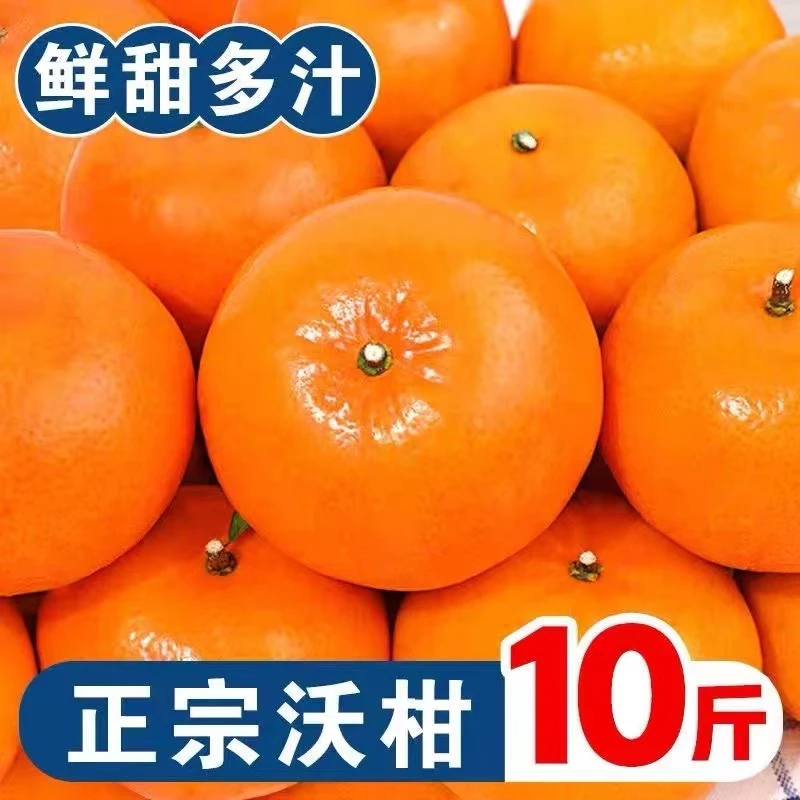 正宗沃柑云南酸甜沃柑果冻柑橘新鲜水果应季当季桔子橙子整箱多汁