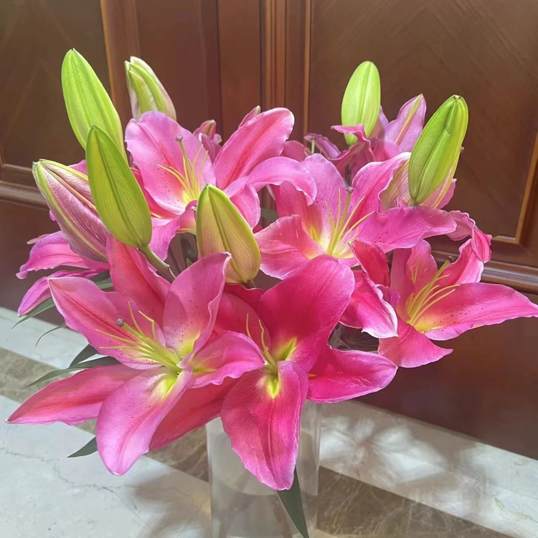 特红多头百合 任意两单顺丰或京东包邮 云南鲜花原产地发货