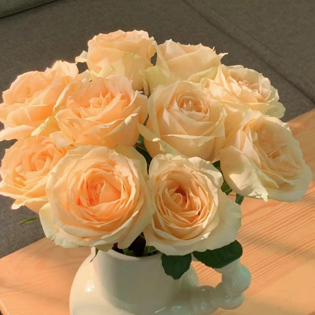 45【云南鲜花】一箱发顺丰冷链或者京东空运，认准编号下单