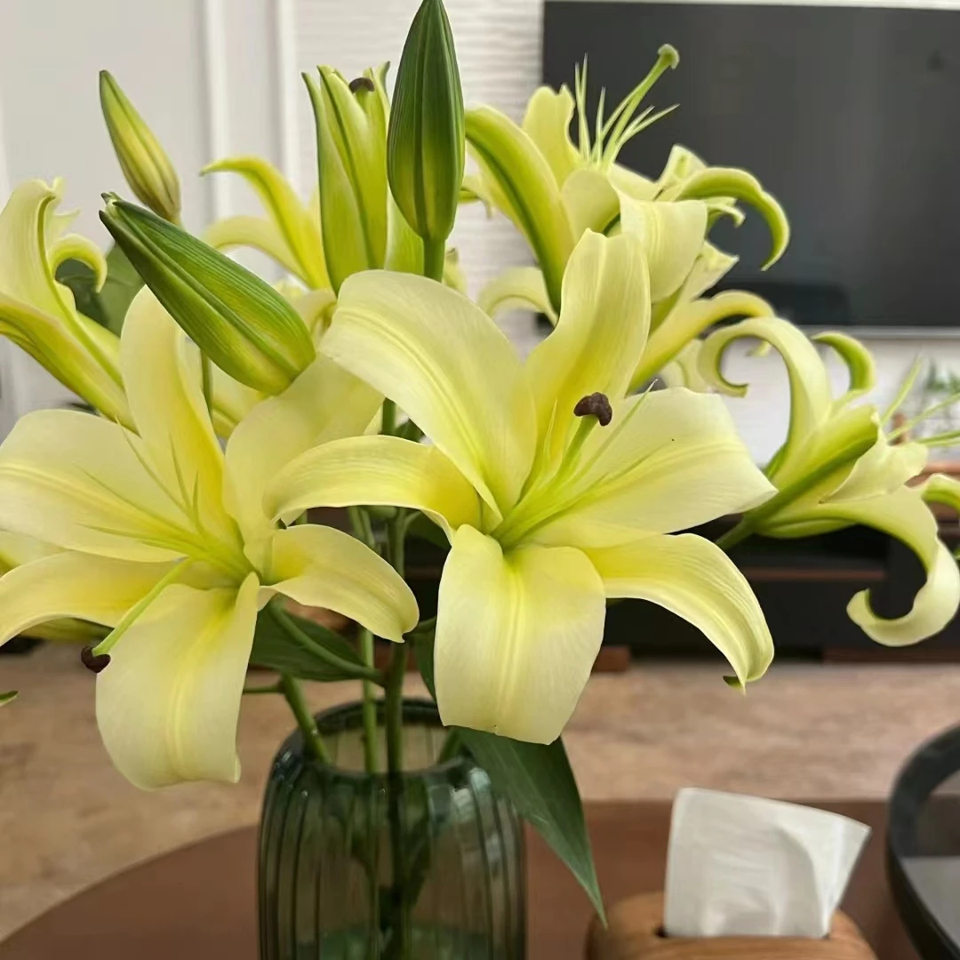 黄天霸多头百合  任意两单顺丰或京东包邮基地直发