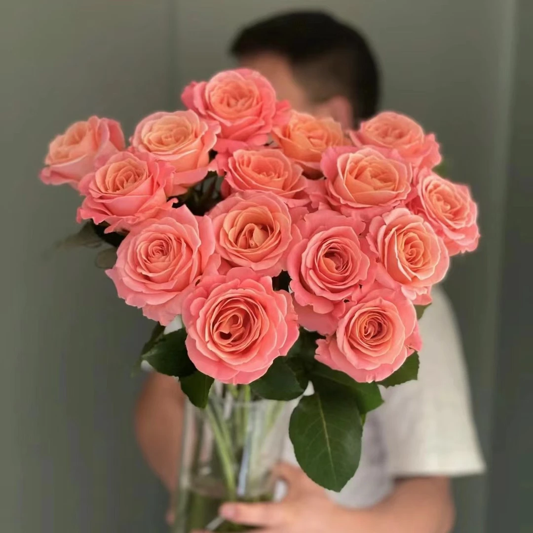 方德荷冠朱小姐玫瑰【花头小杆子细】【两单京东或顺丰包邮】云南鲜花