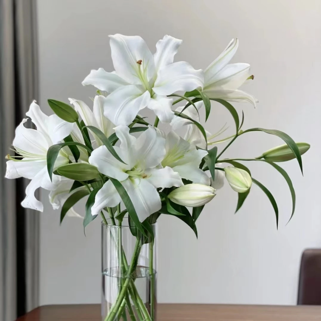 5枝西伯利亚三头百合 [两单京东或顺丰包邮] 云南鲜花