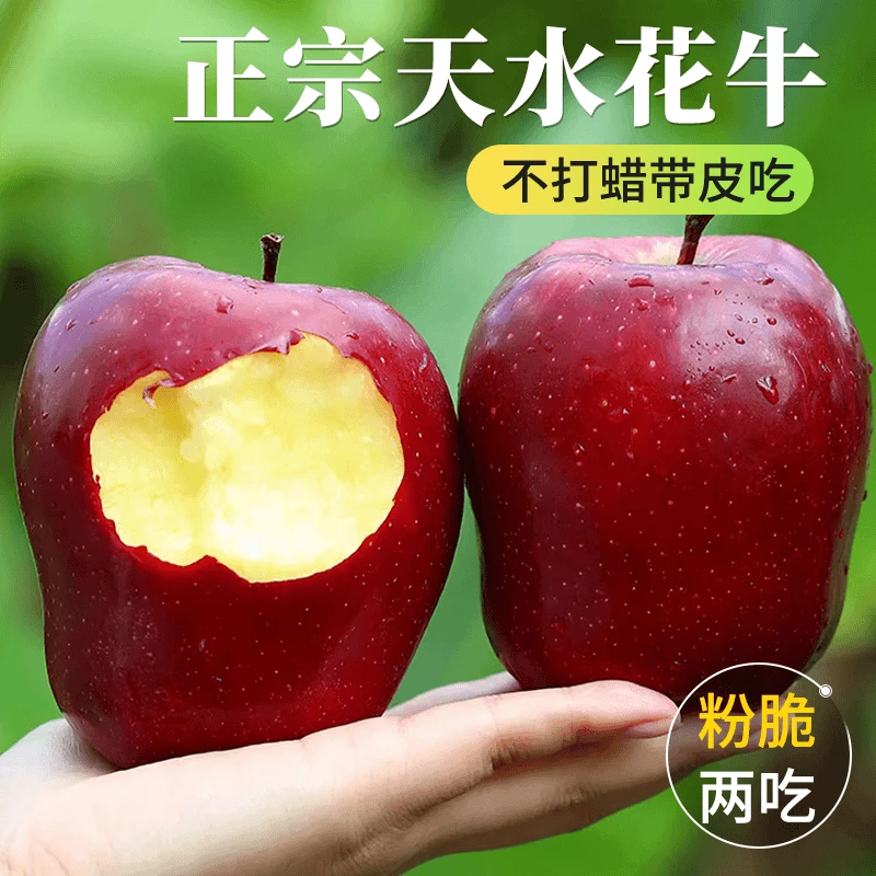 【2024新果】甘肃天水花牛苹果买五斤送五斤到手10斤带箱新鲜水果