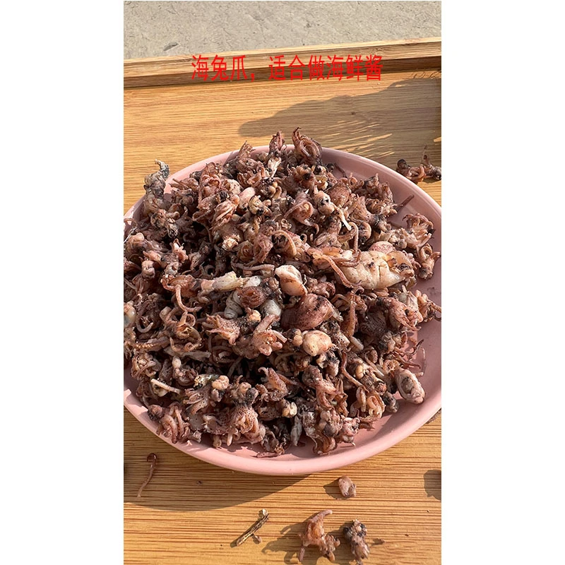 小海兔须很小500g做海鲜酱辣酱散装