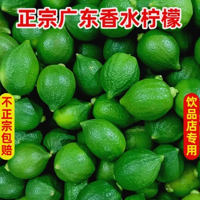 现摘正宗广东香水柠檬次一级果爆香型手打柠檬茶鸭屎香香水柠檬