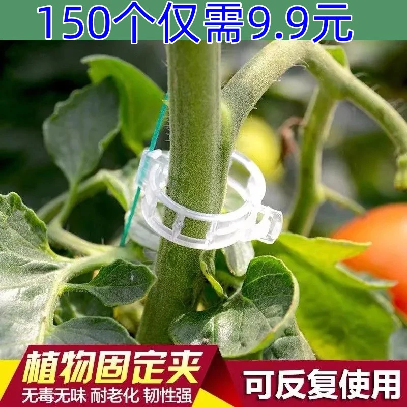 【150个9.9元】绿植果树植物固定夹卡扣藤蔓固定器秧苗爬藤支撑杆