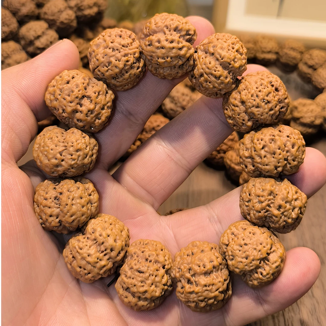 5瓣原皮原色尼泊尔大金刚