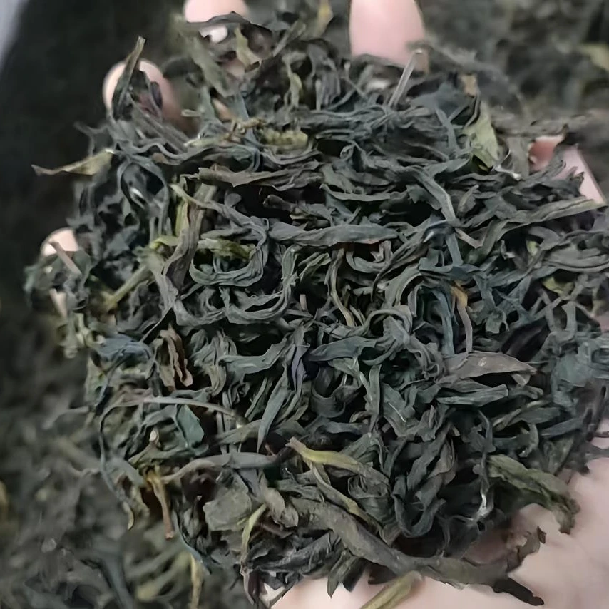 潮州凤凰单枞茶鸭屎香高香冬茶