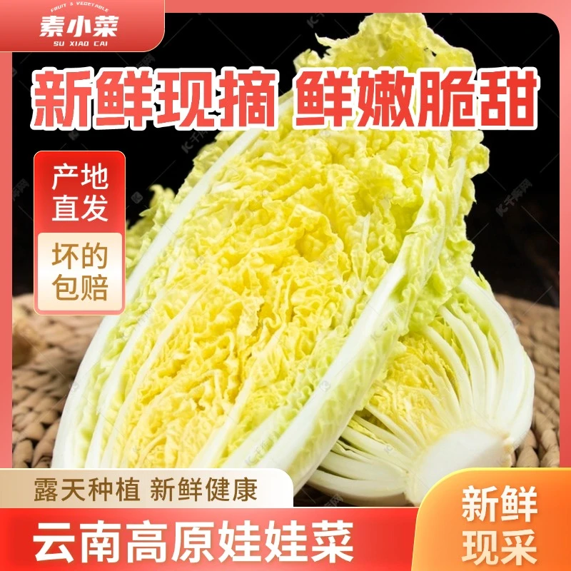 【云南高原娃娃菜】精品5斤9斤净重黄心娃娃菜小白菜大白菜新鲜蔬菜