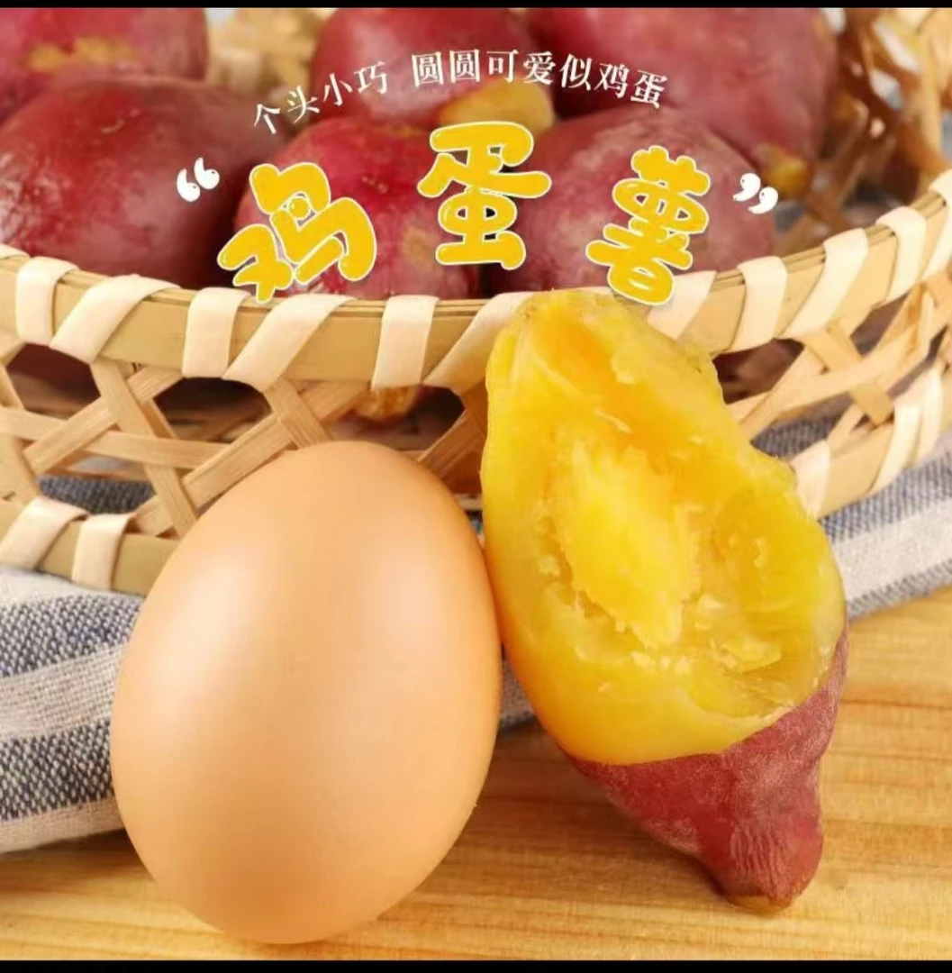 临安高山小香薯（鸡蛋果圆果）
