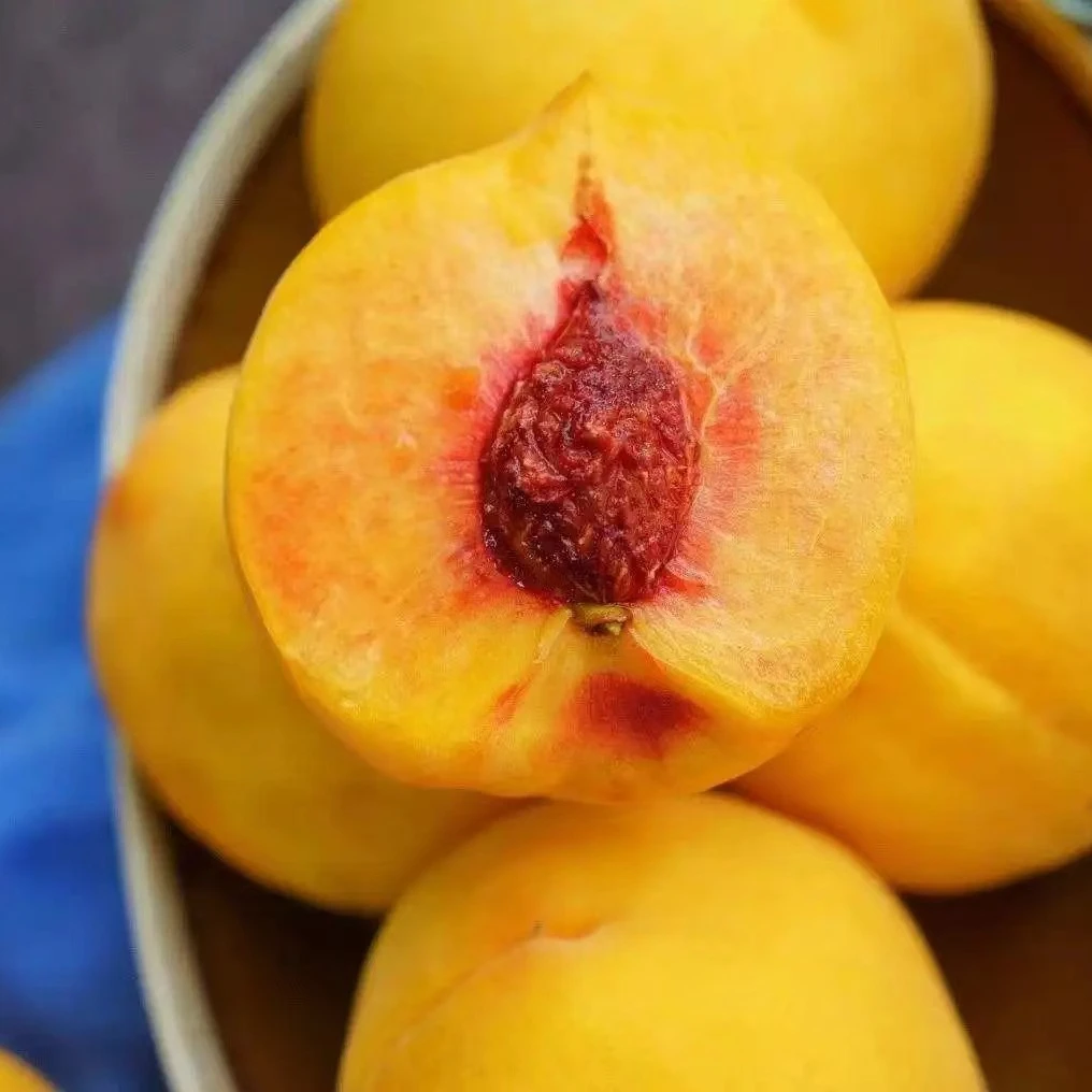 中果（5-6两） 正宗浙江嘉善锦绣黄桃整箱约10斤现摘现发顺丰冷链