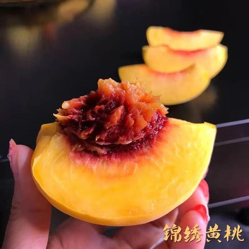 大果（6-7两） 正宗浙江嘉善锦绣黄桃整箱约10斤现摘现发顺丰冷链