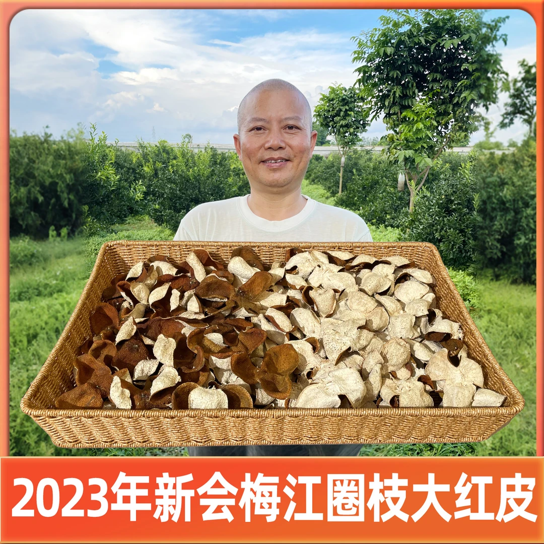 2023年新会梅江圈枝大红皮(纯生晒干仓茶枝柑柑皮）