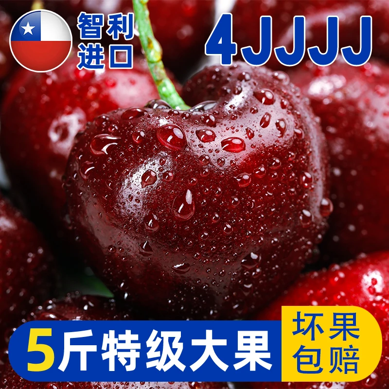 【商超品质】【空运到家 坏果包赔】智利进口车厘子樱桃新鲜水果5斤装