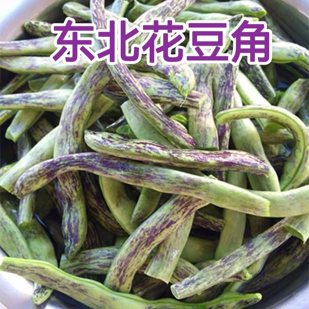 【东北特产】精品花豆角自家种植农家肥当天采摘当天发货保证新鲜