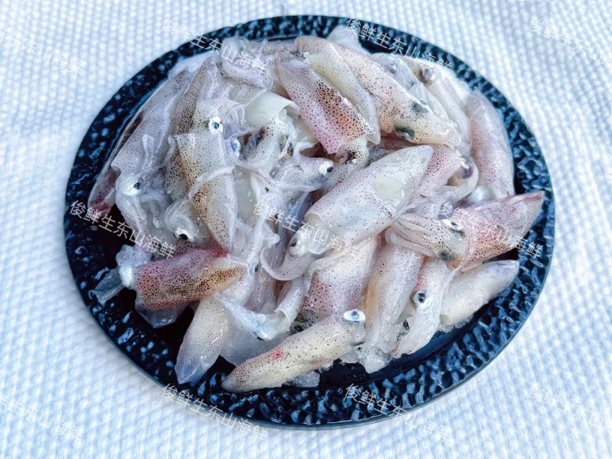 东山一口管小鱿鱼鲜冻450克