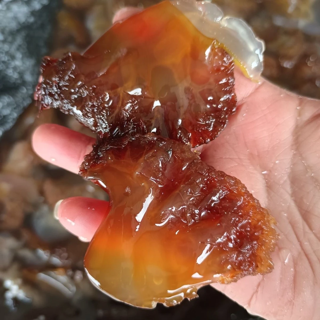 海蜇叶片凉拌菜三斤五斤