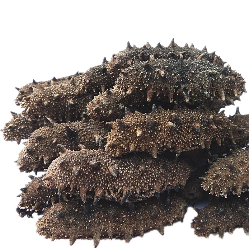 【念因推荐】大连底播纯淡干海参优质滋补珍品高泡发营养