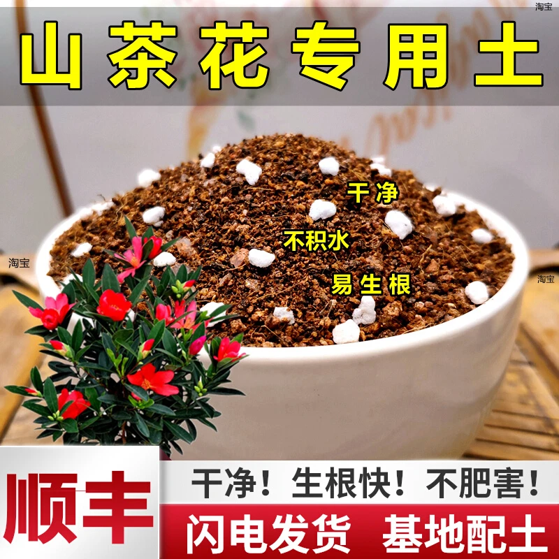 茶花专用土营养土大包酸性花泥通用型花卉盆栽培植土家用种植土壤