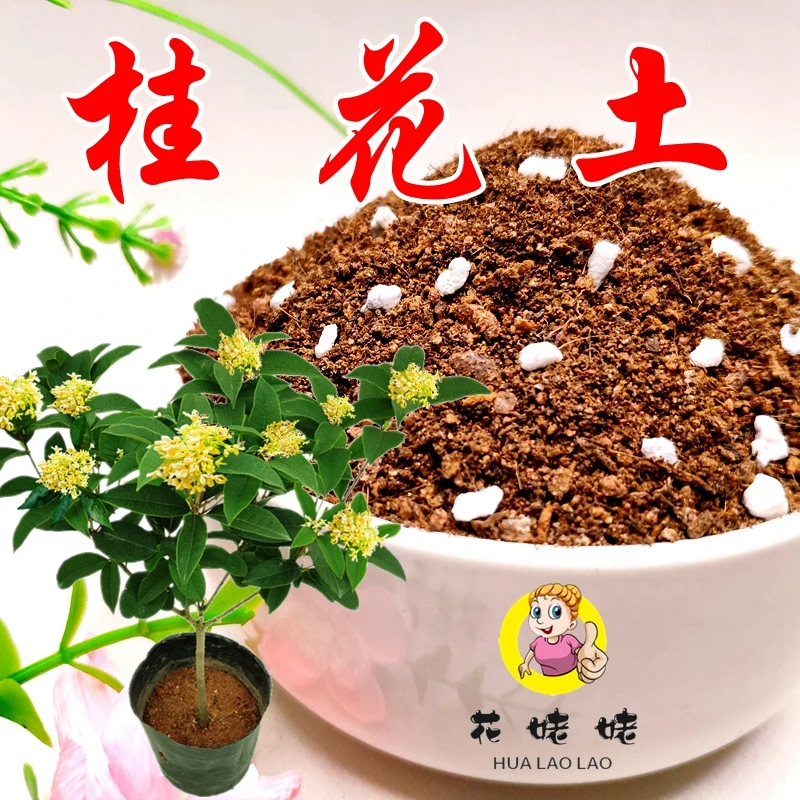 桂花专用土大型绿植家庭园艺通用型营养土茶花土花卉植料透气热卖