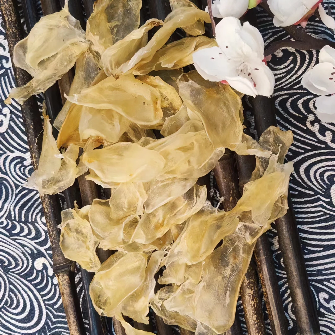 海滋花【鸡蛋胶】 100g/250g