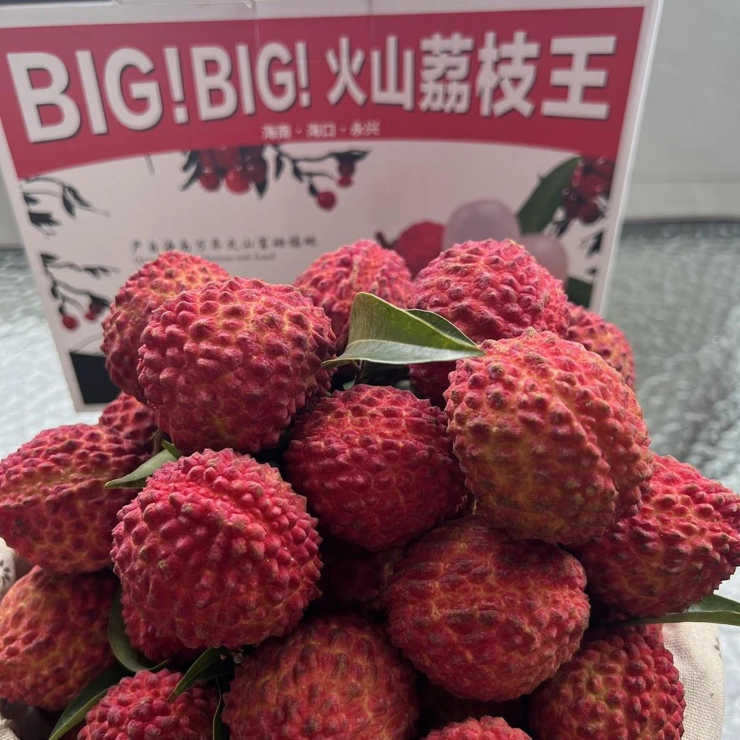 【空运直达】海南火山荔枝王特大巨大号超甜当季新鲜冷冻水果