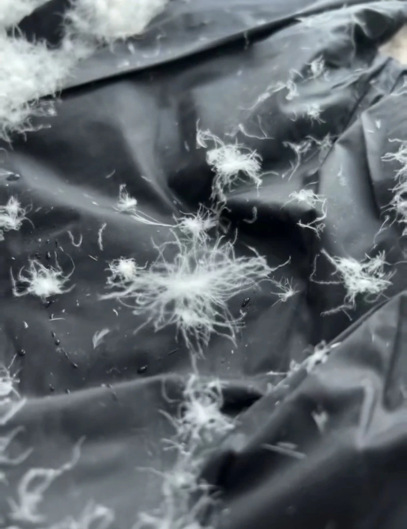 田田熊冬季加绒加厚男女外套防风防水休闲