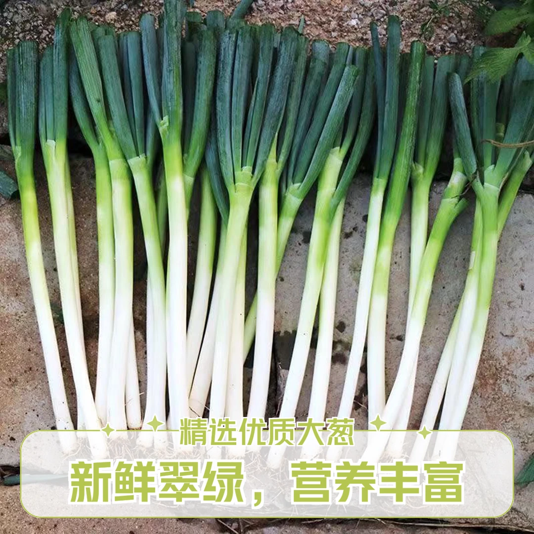 本地大葱带叶2根/300g（±50g）