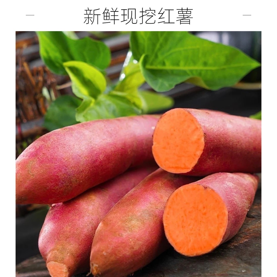 蜜薯/正宗西瓜红沙地蜜薯