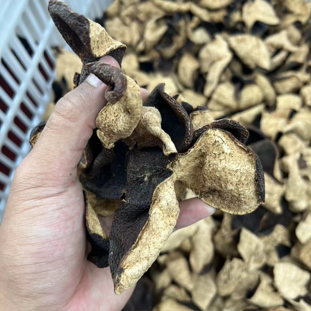 2015年新会梅江圈枝大红皮