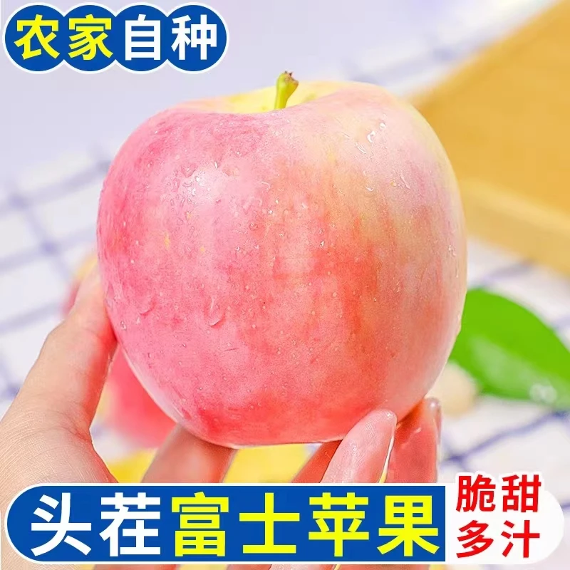 【老林专属】【兴城三道沟红富士中大果拍4斤发6斤】原生态不打蜡苹果