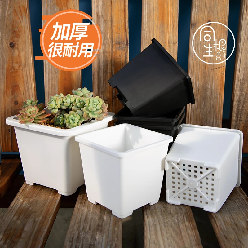 多肉花盆景天小方盆大号老桩韩式仙人球多肉小白方盆耐用黑方加厚
