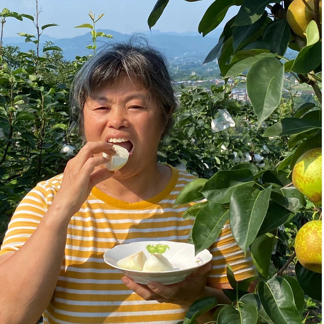 开州自家种翠冠梨皮薄肉嫩脆甜多汁风味独特新鲜采摘10斤礼盒装