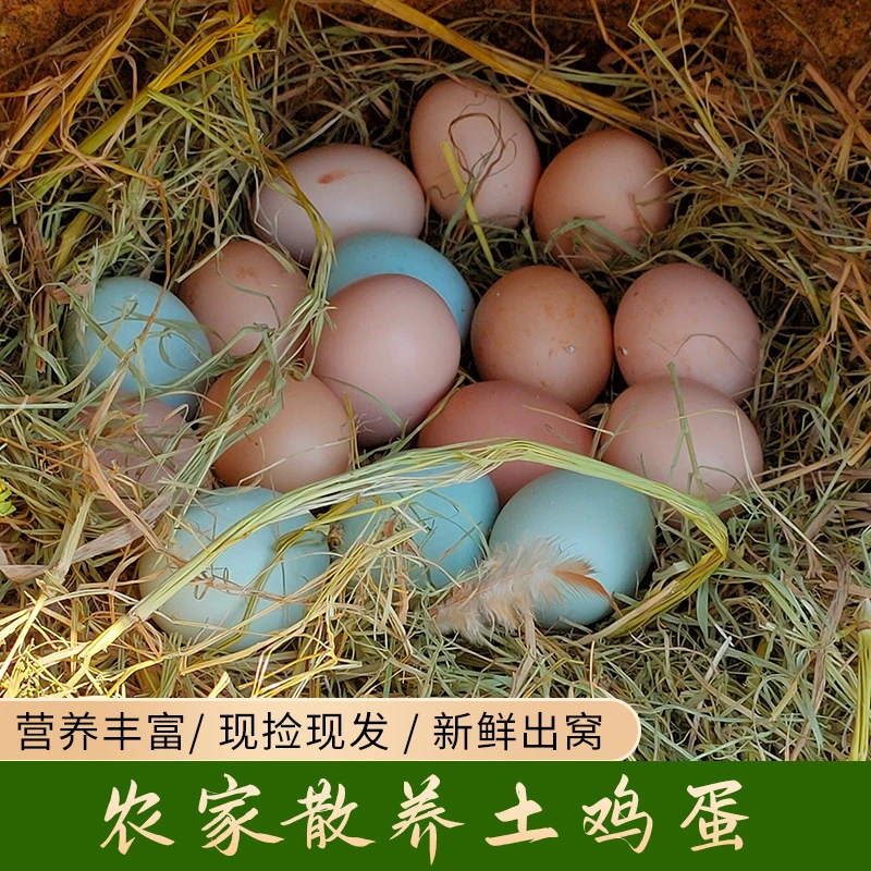 皖裕东升50枚~100枚正宗农家散养土鸡蛋营养美味顺丰包邮新鲜到家