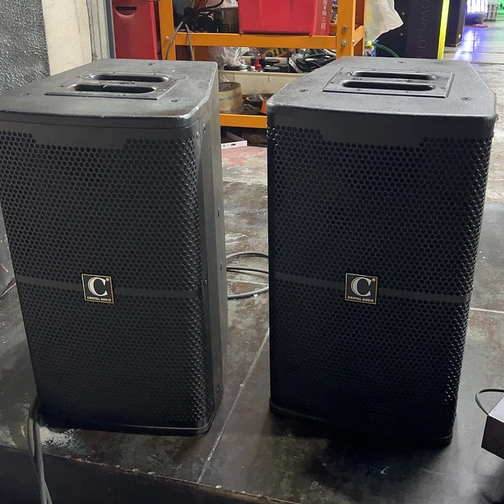 不包邮 C牌10寸专业音箱一对价