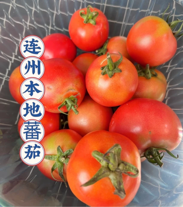 连州高山番茄西红柿3-5斤包邮