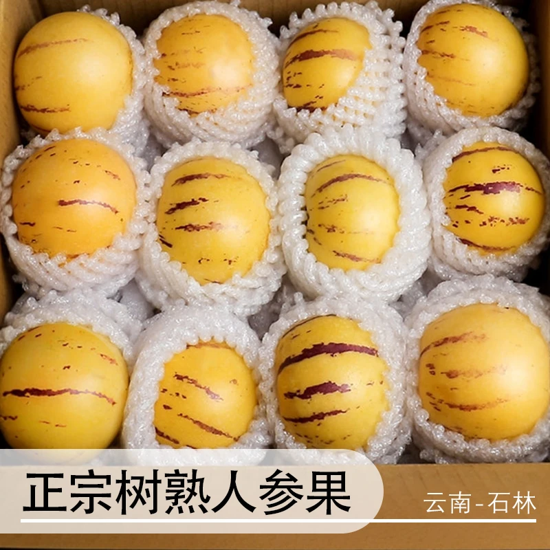 【真·树上熟】正宗云南石林人参果人生圆果黄肉产地直发应当季水果