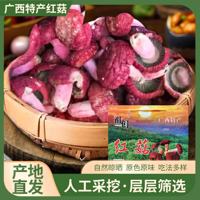 广西特产红菇自然生长手工采摘自然生长成熟营养丰富香馥爽口