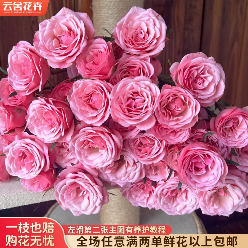 【云舍花卉】【恋恋不舍】多头玫瑰 全场任意满两单及以上鲜花包邮