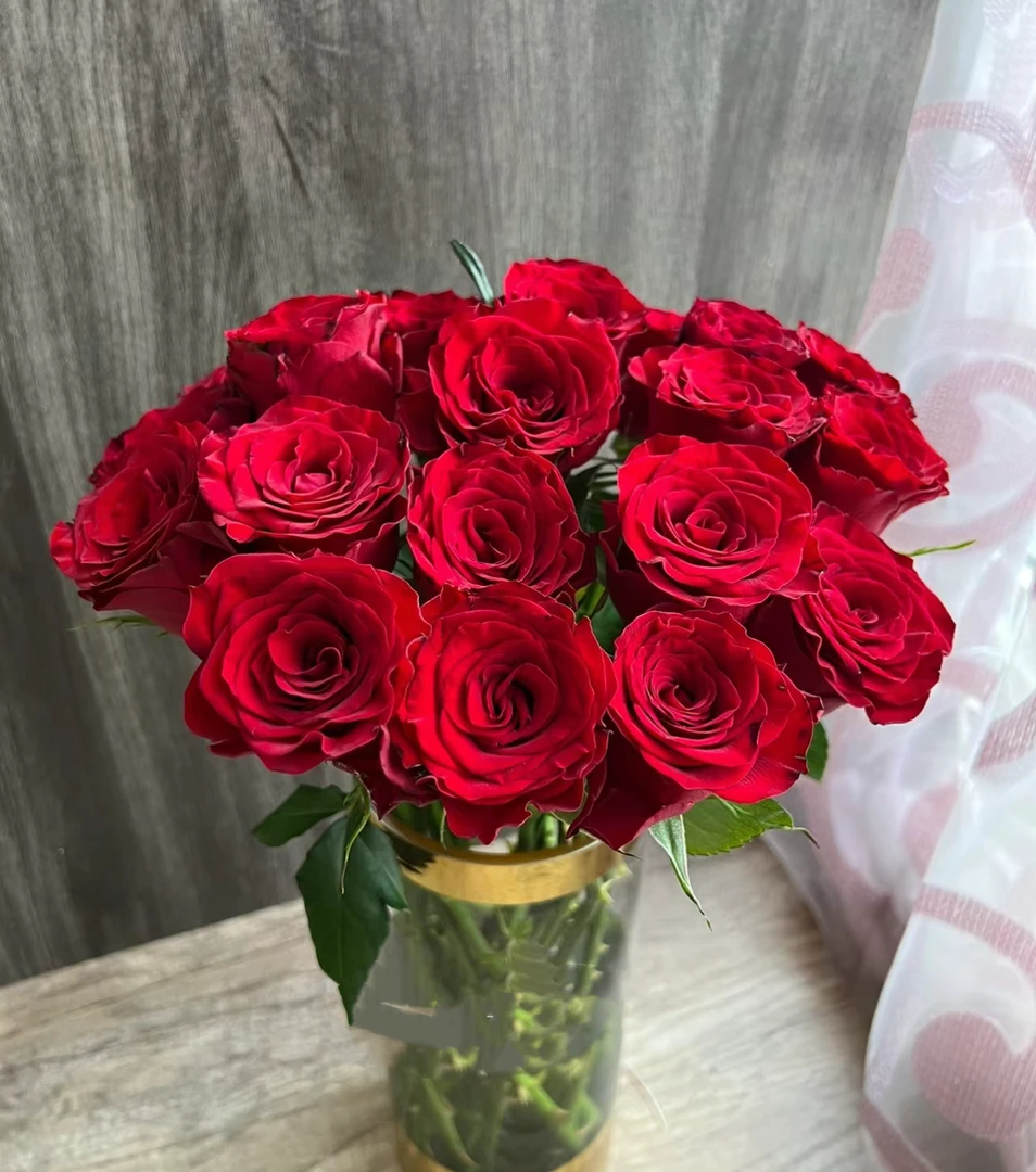 【云舍花卉】红玫瑰单头玫瑰10支 一单包邮